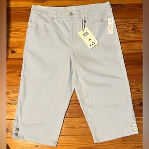 Gloria Vanderbilt Be KAIA Skimmer Pants with slimming panel. New with tags.